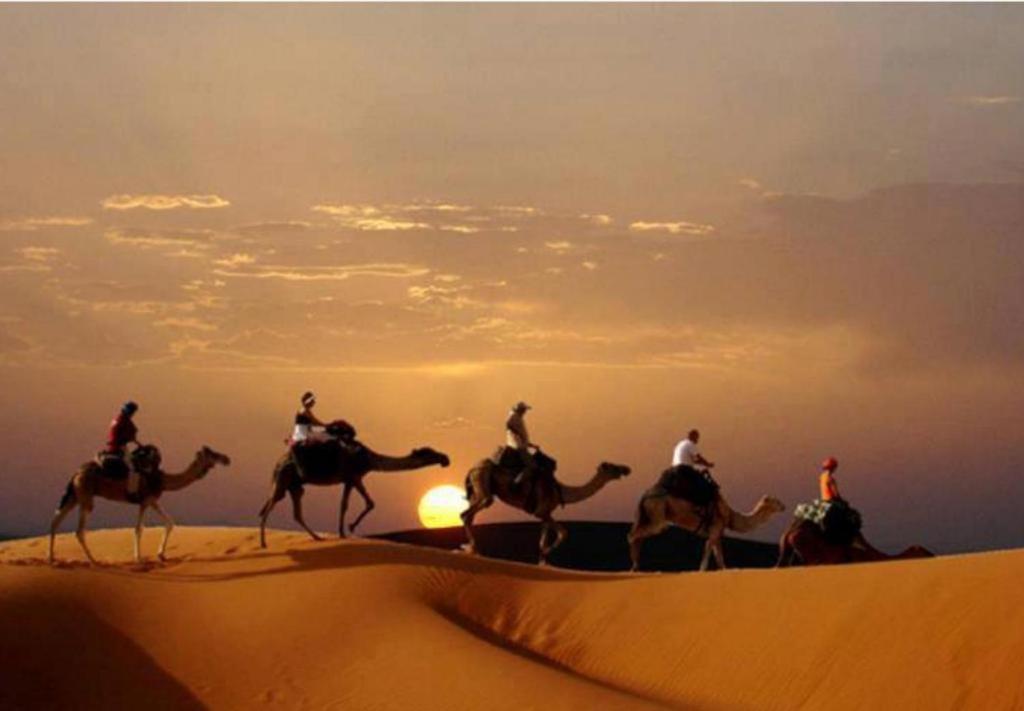 Camp Sahara Majestic Bed & Breakfast M'Hamid Luaran gambar