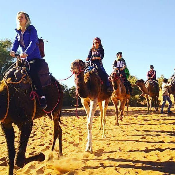 Camp Sahara Majestic Bed & Breakfast M'Hamid Luaran gambar